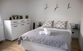 Q 10 Apartments, Czarna Perla